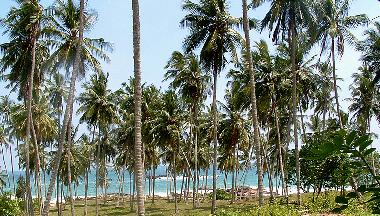 Ferienhaus in Tangalle (Matara) oder Ferienwohnung oder Ferienhaus