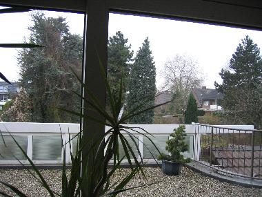 Terrassenblich aus dem Wohnzimmer