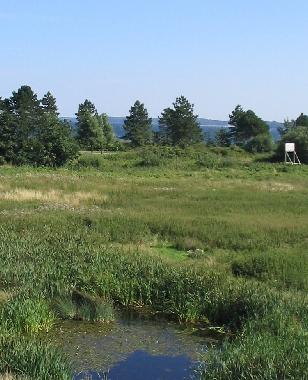 Ferienhaus in Gl�cksburg-Holnis (Ostsee-Festland) oder Ferienwohnung oder Ferienhaus