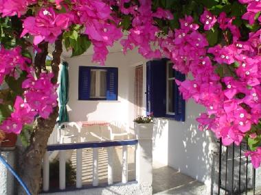 Ferienhaus in SYROS (Kyklades) oder Ferienwohnung oder Ferienhaus