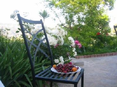 Ferienhaus in Imperia (Imperia) oder Ferienwohnung oder Ferienhaus