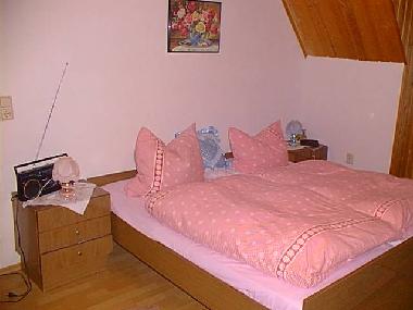 Ferienwohnung in Ribnitz Damgarten (Fischland-Dar-Zingst) oder Ferienwohnung oder Ferienhaus