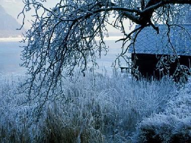 Ferienwohnung in Bodensdorf (Klagenfurt-Villach) oder Ferienwohnung oder Ferienhaus