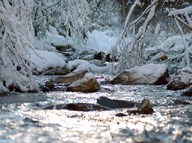 Ferienwohnung in Bodensdorf (Klagenfurt-Villach) oder Ferienwohnung oder Ferienhaus