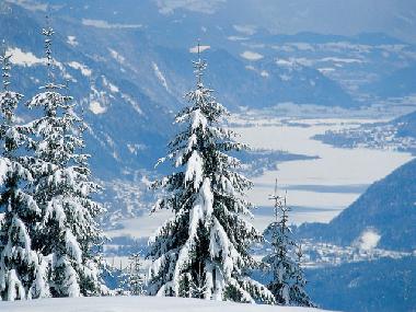Ferienwohnung in Bodensdorf (Klagenfurt-Villach) oder Ferienwohnung oder Ferienhaus