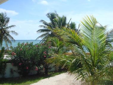 Blick von der Terrasse