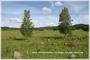 Ferienhaus in Edsleskog (Dalsland) oder Ferienwohnung oder Ferienhaus