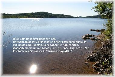 Ferienhaus in Edsleskog (Dalsland) oder Ferienwohnung oder Ferienhaus