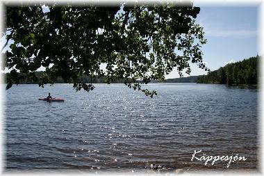 Ferienhaus in Edsleskog (Dalsland) oder Ferienwohnung oder Ferienhaus