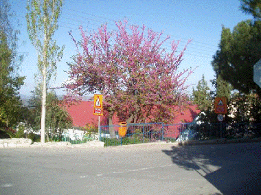 Ferienwohnung in Pano Lefkara (Larnaca) oder Ferienwohnung oder Ferienhaus