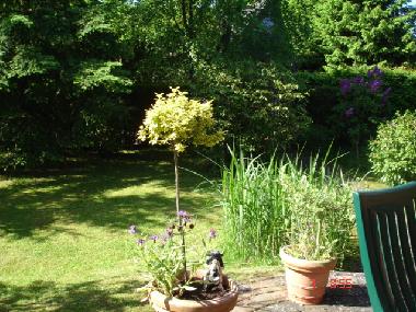 Blick von Terrasse in Garten