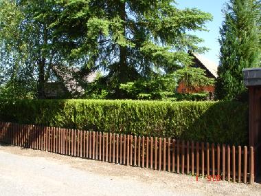 Eingez�unte Garten