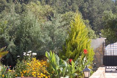 Chalet in �z�ml� (Mugla) oder Ferienwohnung oder Ferienhaus