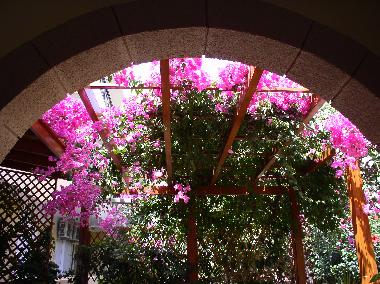 Ferienwohnung in Lindos (Dodekanisos) oder Ferienwohnung oder Ferienhaus