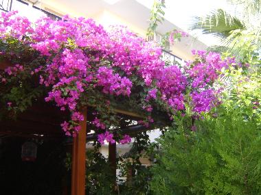 Ferienwohnung in Lindos (Dodekanisos) oder Ferienwohnung oder Ferienhaus