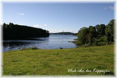 Ferienhaus in Edsleskog (Dalsland) oder Ferienwohnung oder Ferienhaus