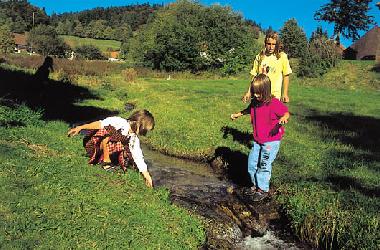 Kinderparadies am Schwarzwaldbach