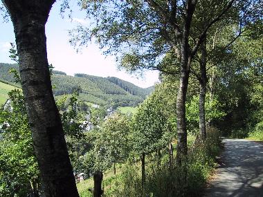 Ferienhaus in Assinghausen (Sauerland) oder Ferienwohnung oder Ferienhaus