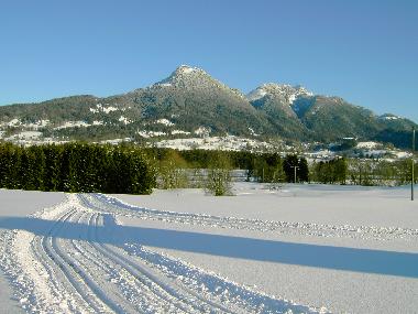 Die Loipe vor unserer Haustr
