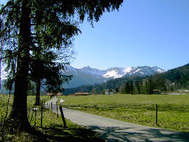 Die Dcher der Siedlung Faistenau, wo das Haus Breitenstein sich befindet.