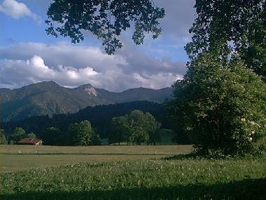 Blick  vom Waldrand in Faistenau auf die Heienpatte und Aipelspitz
