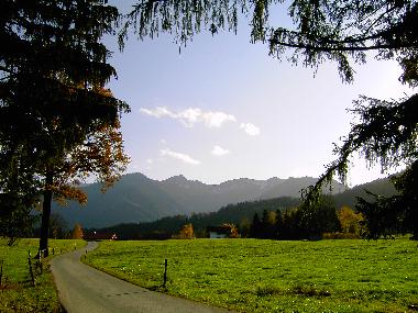 Blick vom Waldrand in Faistenau auf die Heienplatte , Aipelspitze, Benzing und Jgerkamp