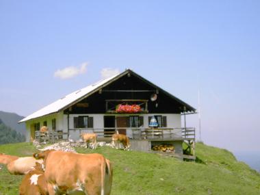 Wanderung zur Seewiesaualm