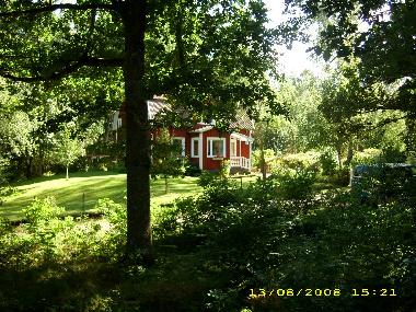 Unser Haus liegt mitten im Wald