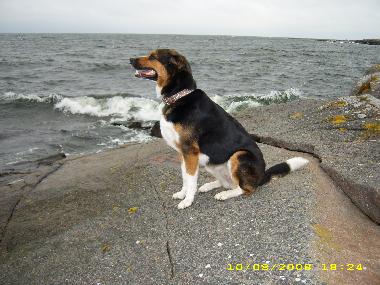 Das Meer ist nur 18 km enfernt, hier die Sch�renk�ste