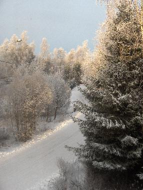 Ferienhaus in Auttoinen (Padasjoki) (Etela-Suomen Laani) oder Ferienwohnung oder Ferienhaus