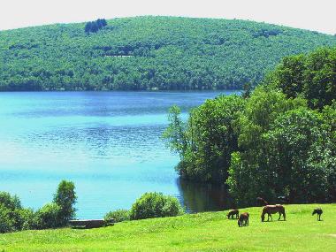 Ferienhaus in St Germain les Belles (Haute-Vienne) oder Ferienwohnung oder Ferienhaus
