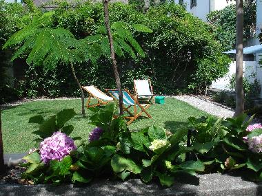 Ferienhaus in Ponta do Sol (Madeira) oder Ferienwohnung oder Ferienhaus