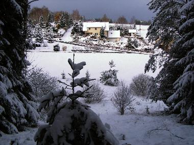Blick vom Wald auf unser Grundst�ck