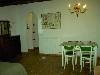 Studio fuer 2 Personen, Mimosa