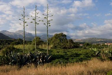 Ferienhaus in Cefalu (Palermo) oder Ferienwohnung oder Ferienhaus