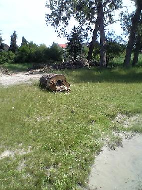 Ferienhaus in Havelsee/OT Pritzerbe (Havelland) oder Ferienwohnung oder Ferienhaus