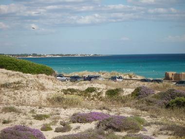 Ferienhaus in Marina di Lizzano (Lecce) oder Ferienwohnung oder Ferienhaus