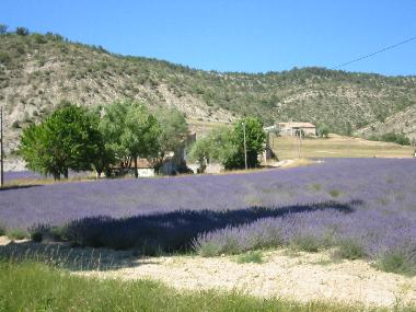 Ferienhaus in Montbrun-Les-Bains (Vaucluse) oder Ferienwohnung oder Ferienhaus