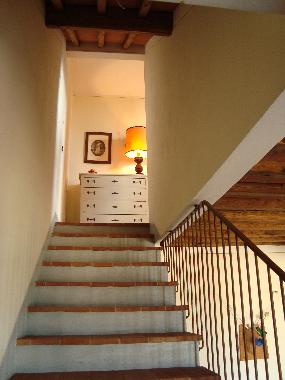 Ferienhaus in Monte San Savino (Arezzo) oder Ferienwohnung oder Ferienhaus