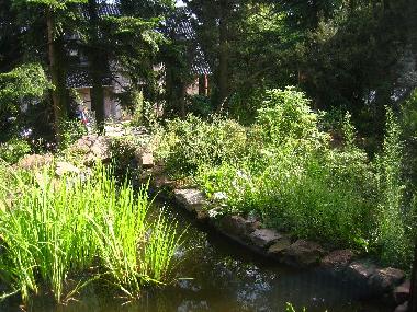 Fischteich vor dem Wohnzimmer