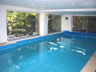 Schwimmbad mit Terrasse