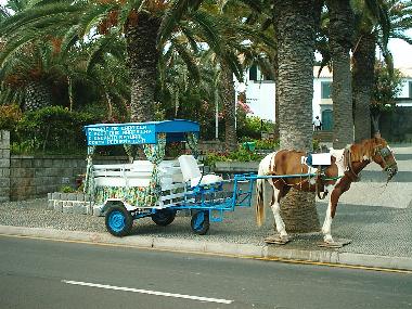 Ferienhaus in Porto Santo (Madeira) oder Ferienwohnung oder Ferienhaus