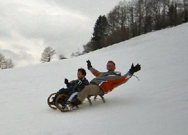 Ferienwohnung in Seeboden - Lieserbr�cke (Oberk�rnten) oder Ferienwohnung oder Ferienhaus