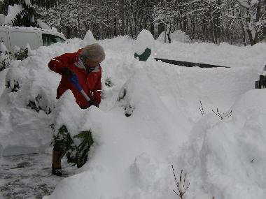 Ferienwohnung in Seeboden - Lieserbr�cke (Oberk�rnten) oder Ferienwohnung oder Ferienhaus