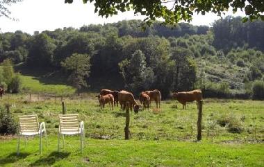 Ferienhaus in Orgnac-sur-Vzre (Corrze) oder Ferienwohnung oder Ferienhaus
