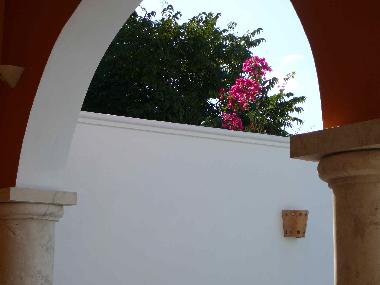 Pension in Merida (Yucatan) oder Ferienwohnung oder Ferienhaus