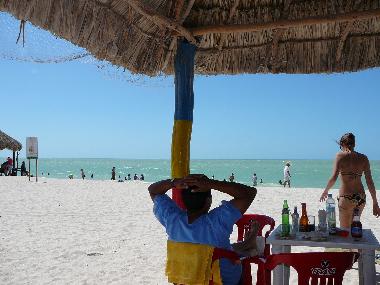 Pension in Merida (Yucatan) oder Ferienwohnung oder Ferienhaus