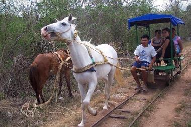 Pension in Merida (Yucatan) oder Ferienwohnung oder Ferienhaus