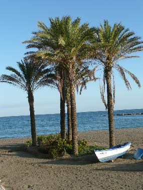 Ferienwohnung in Benalmadena Costa (M�laga) oder Ferienwohnung oder Ferienhaus