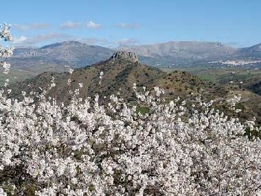 Ferienhaus in Comares (M�laga) oder Ferienwohnung oder Ferienhaus